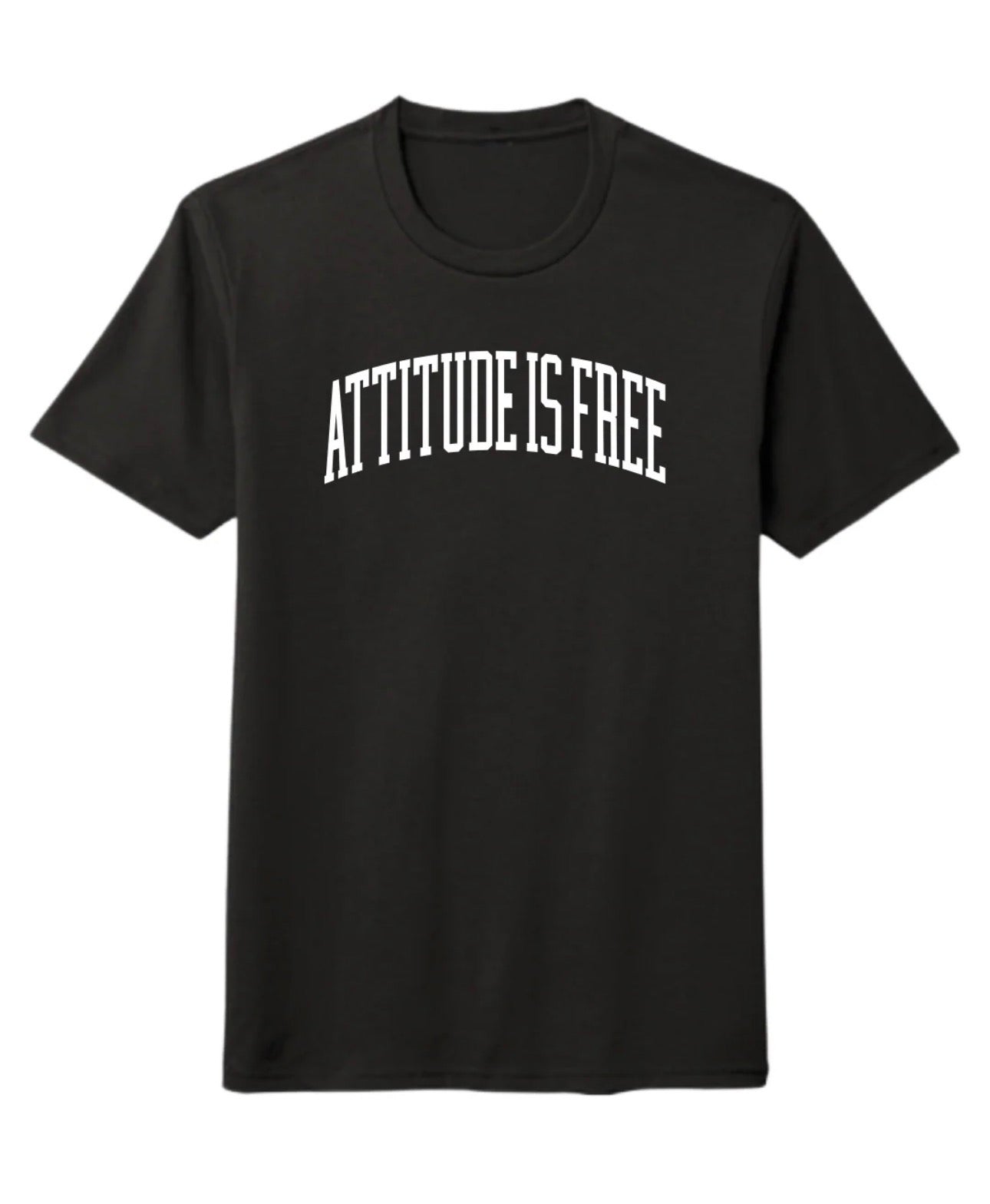 AttitudeisFreeYouthMotivationalApparelUniversityShirt_3.jpg
