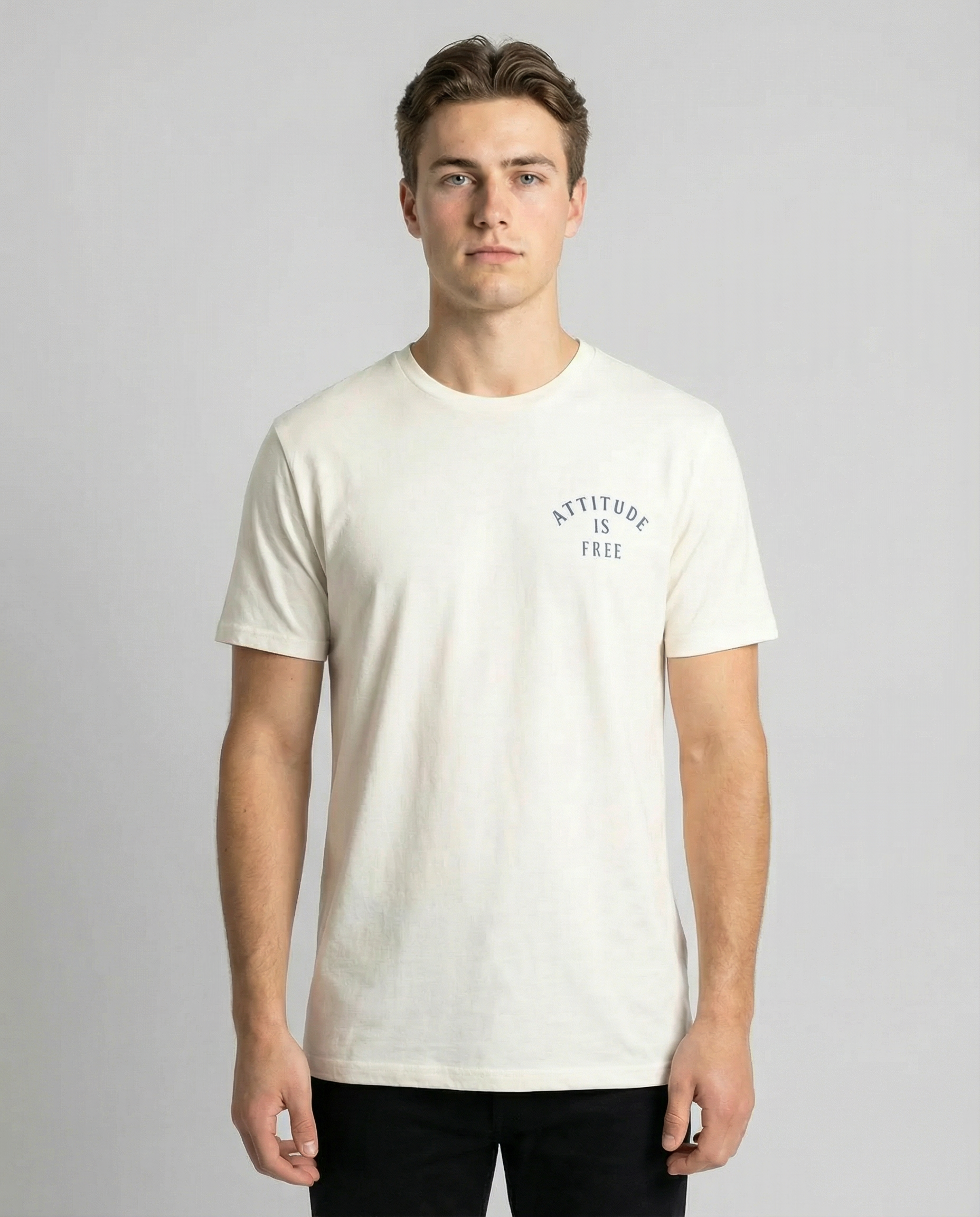 Attitude is Free Men's 3-Line Arc T-Shirt